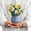 mini english daffodil